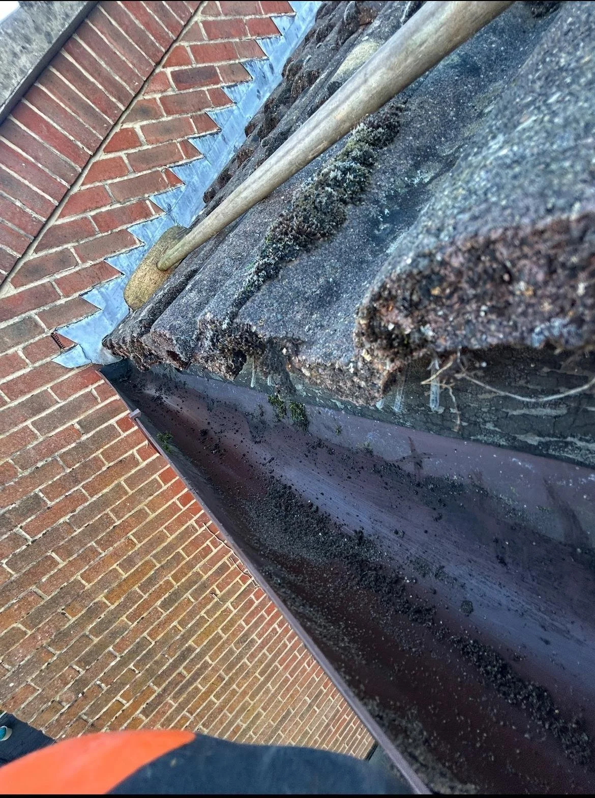 Gutter 3 grass after.jpeg