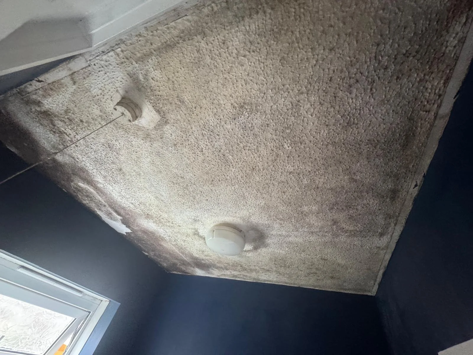 Mould Ceiling 1 before.jpeg