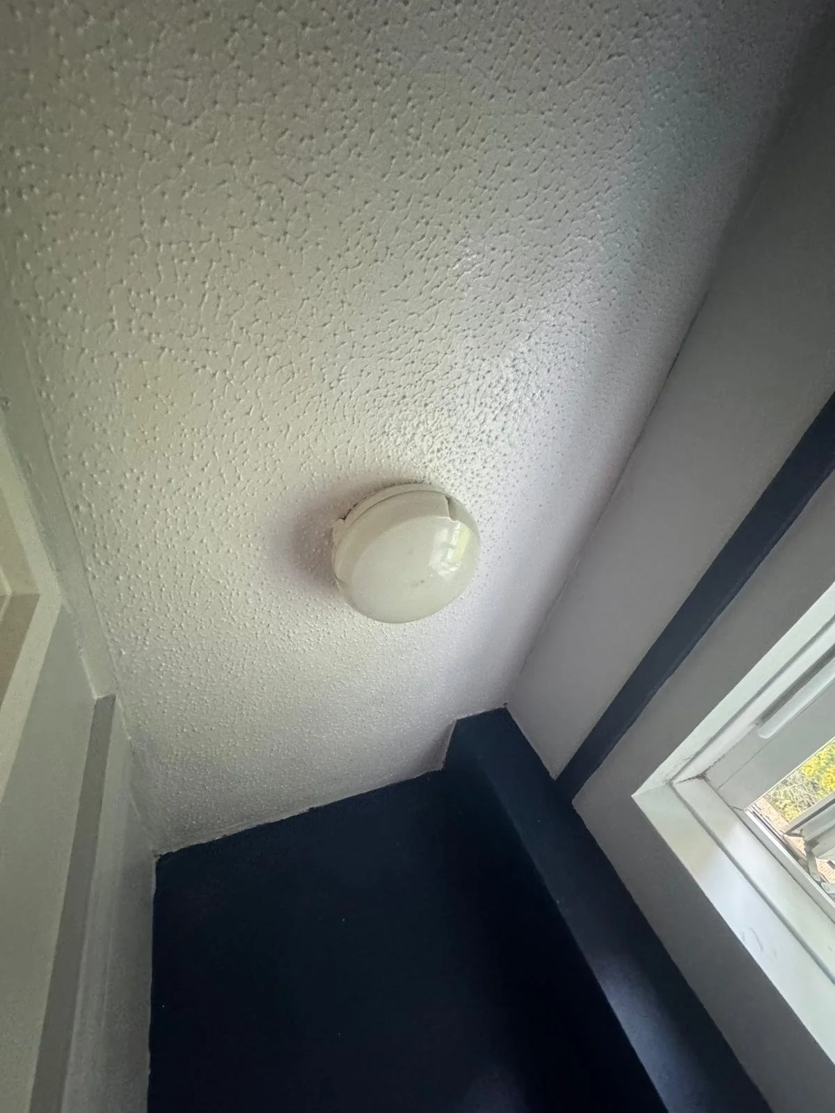 Mould Ceiling 1 after.jpeg