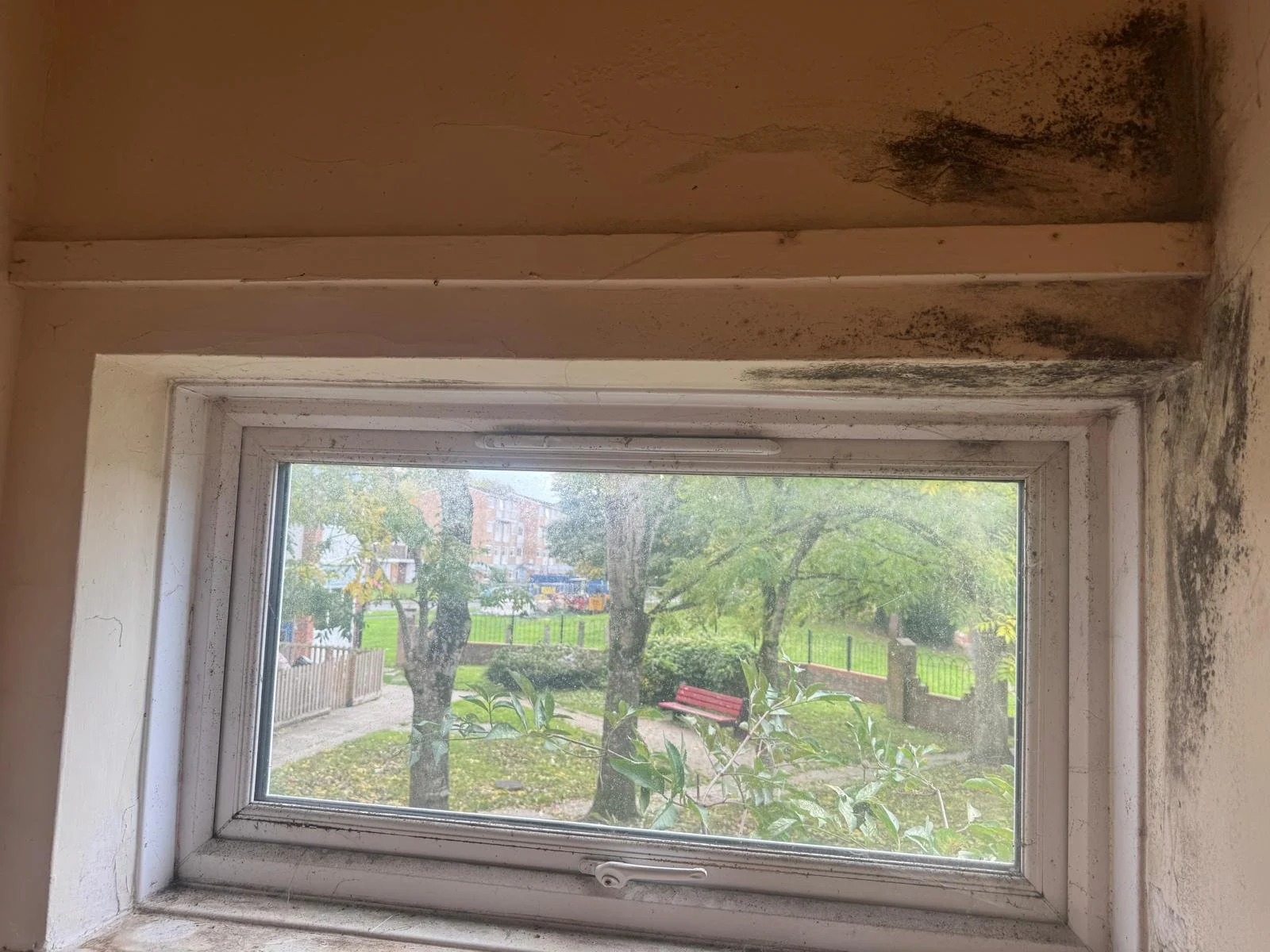 Mould Window 4 before.jpeg