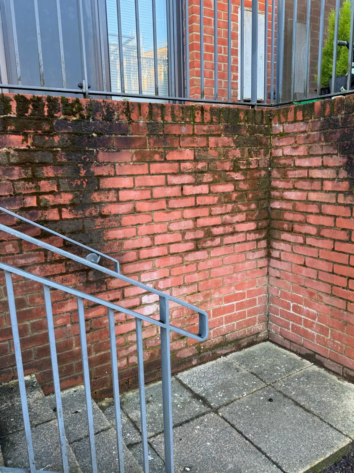 Patio 4 Mould Brick before.jpeg