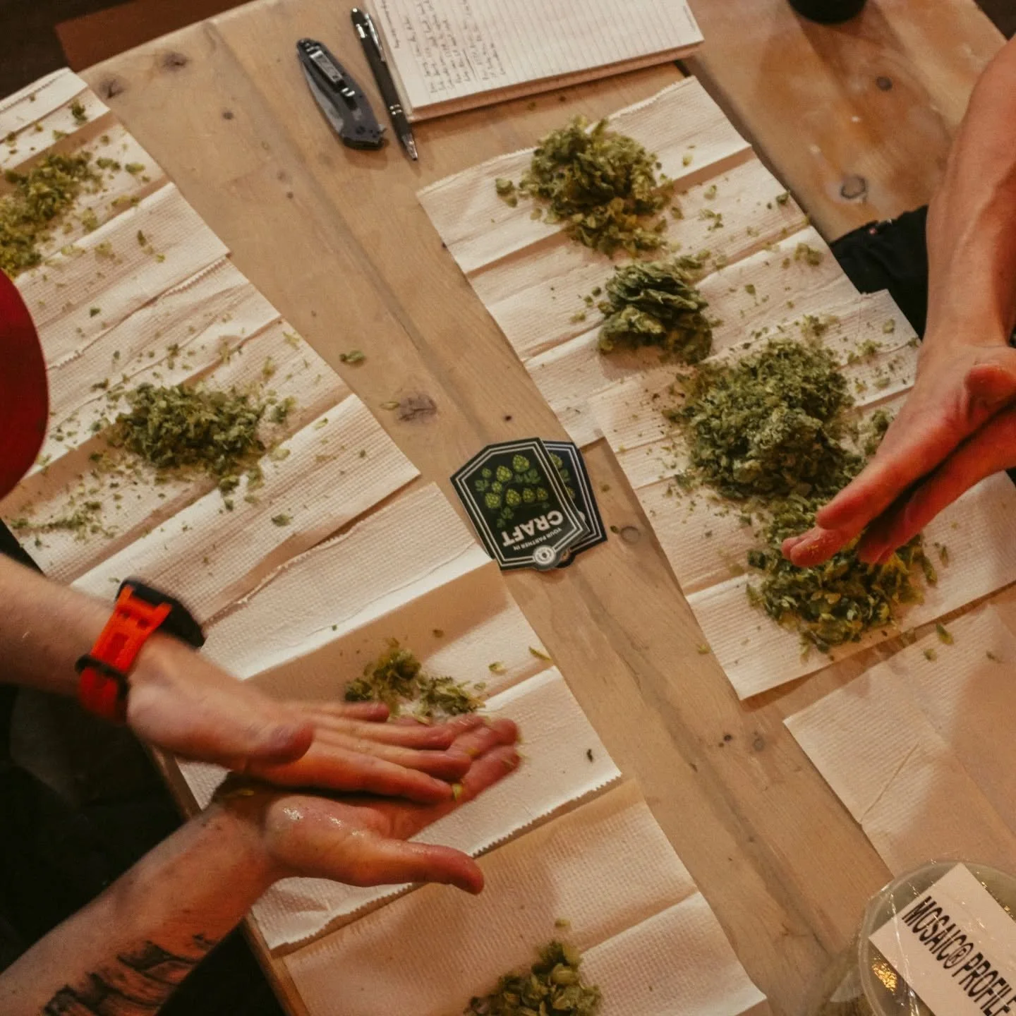 What is a hop rub? Our Co-Owner and General Manager Christina explains:

Every year, our production team is invited to participate in hop rubs with various producers. In addition to getting to interact and smell the various hops, we have the opportun