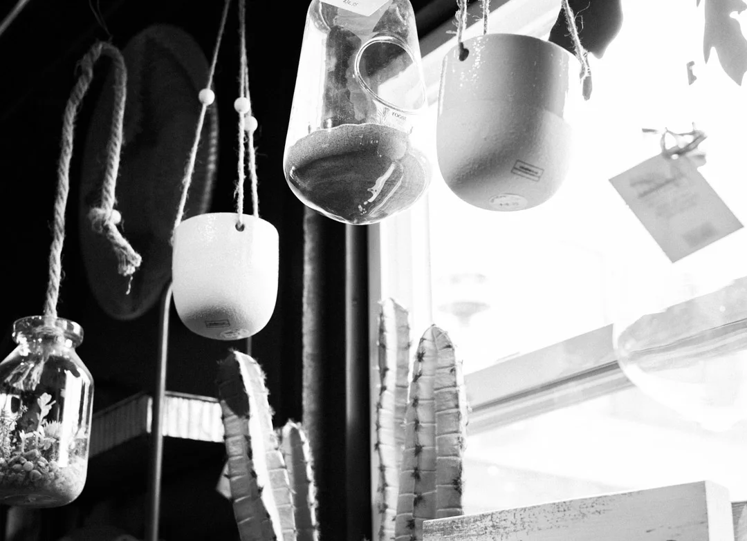 20170909-20170909-DSC_8099.jpg