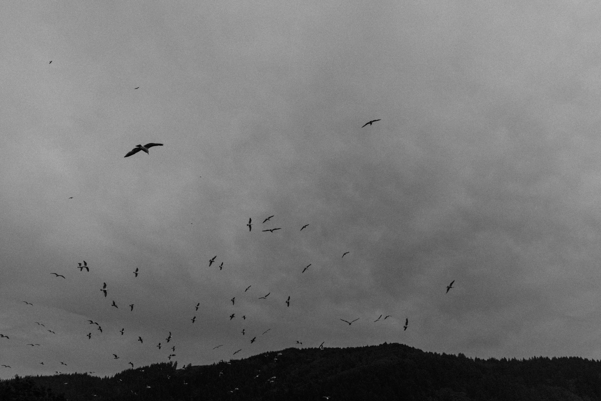rainy day in Oregon coast