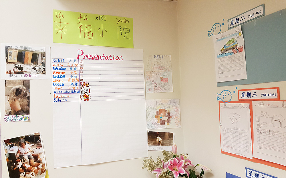 Wall dedicated to the support effort of the Laifuxiaoyuan Dog Shelter.