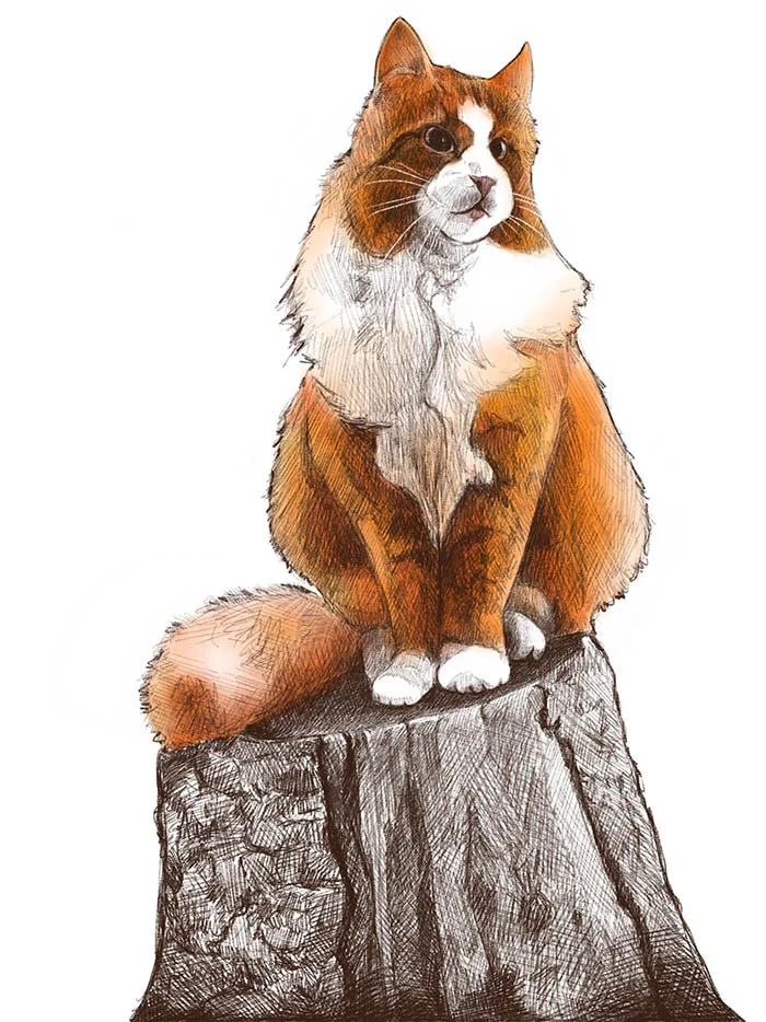 Cat on a Stump