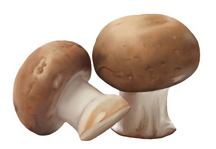 Crimini Mushrooms