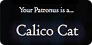 Completely unintentional! Find your patronus ⇢
