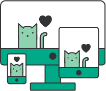 layout.png