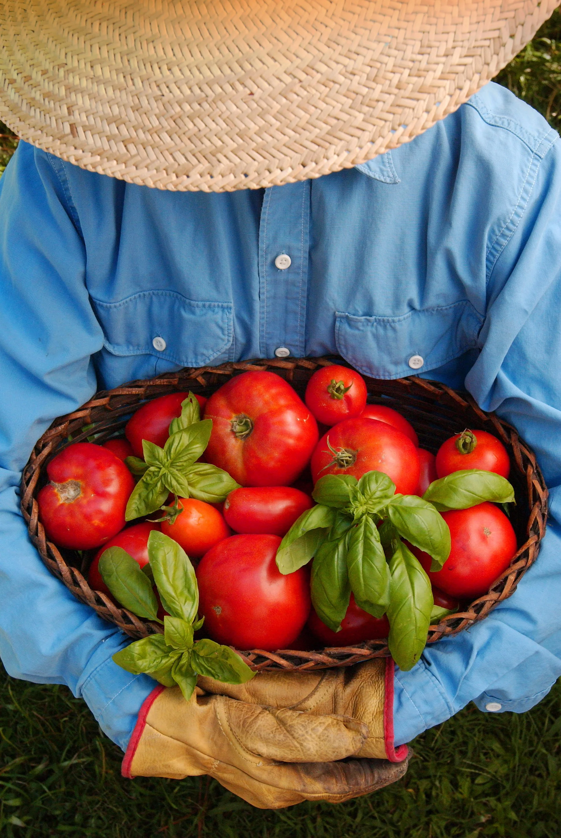 FarmersMkt.jpg