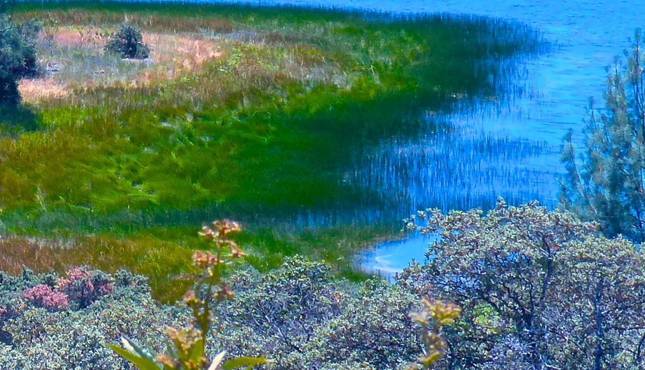  Life is a blurry love story. Focus is negotiable. 