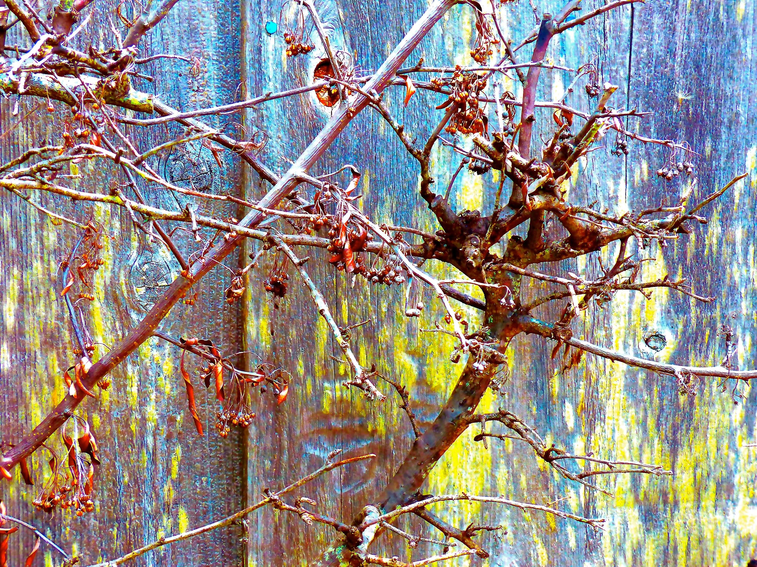  Fall is the beginning of decomposition, a process I can relate to fairly well 