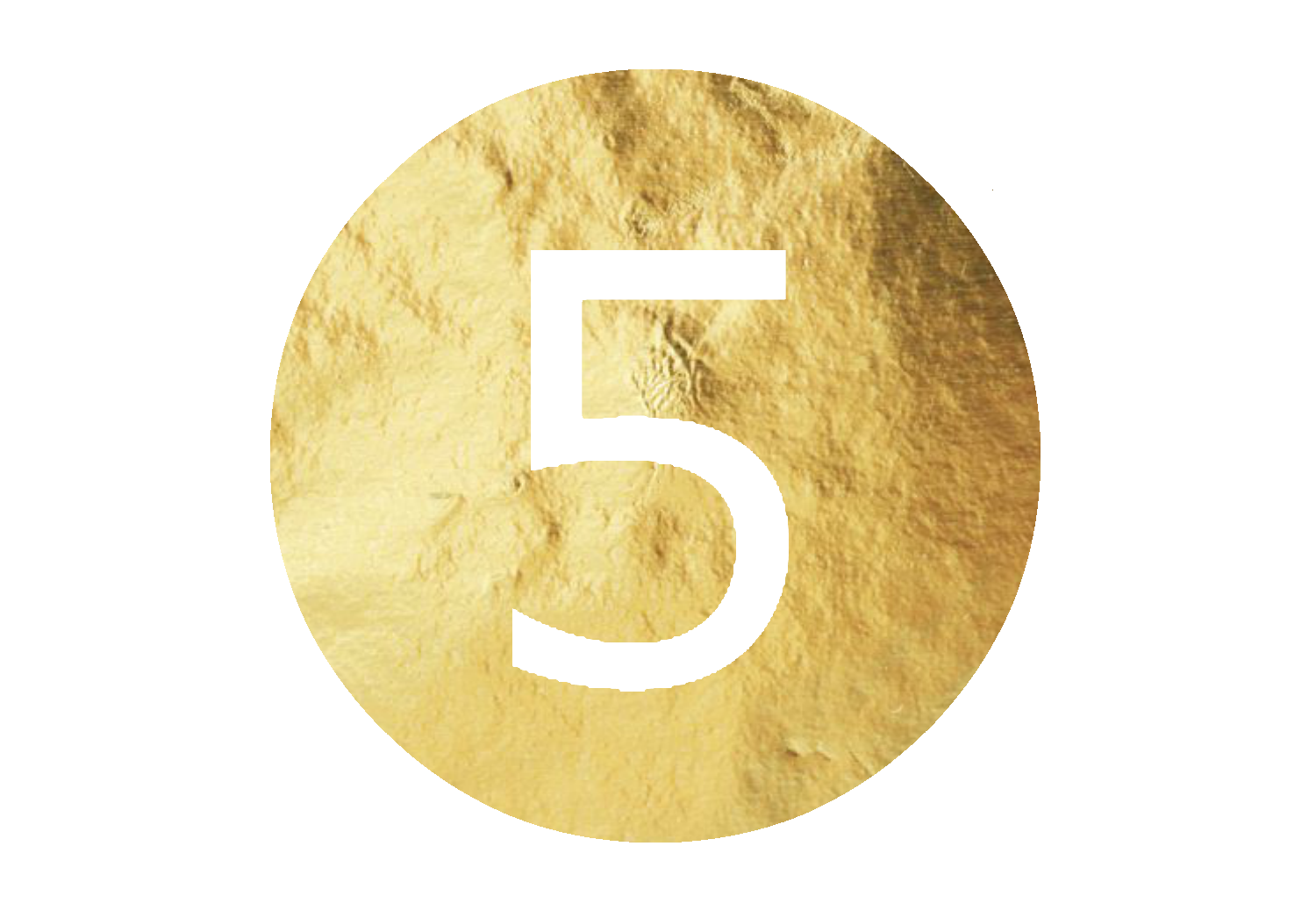 Number 5.png