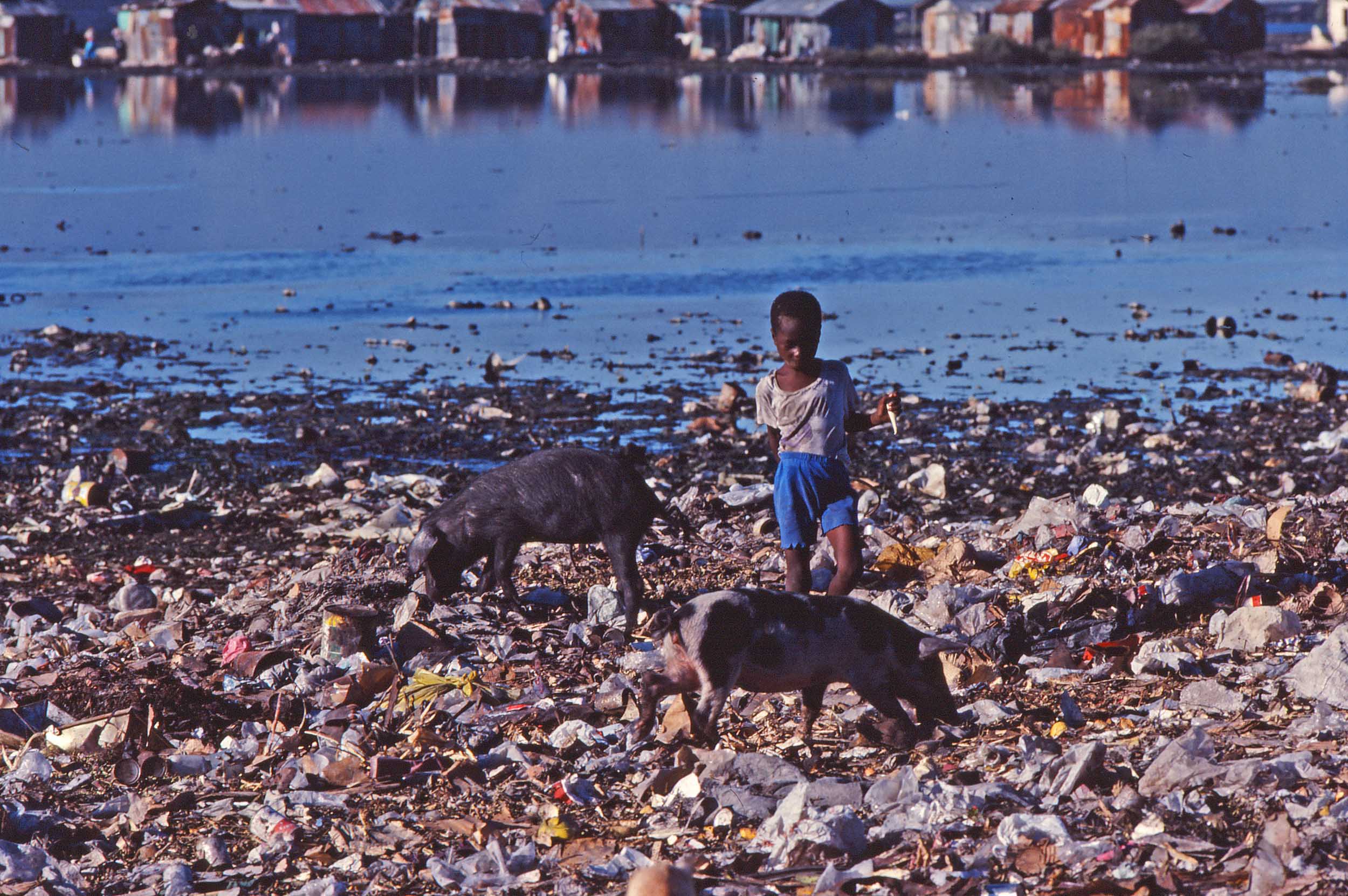web_haiti2.jpg