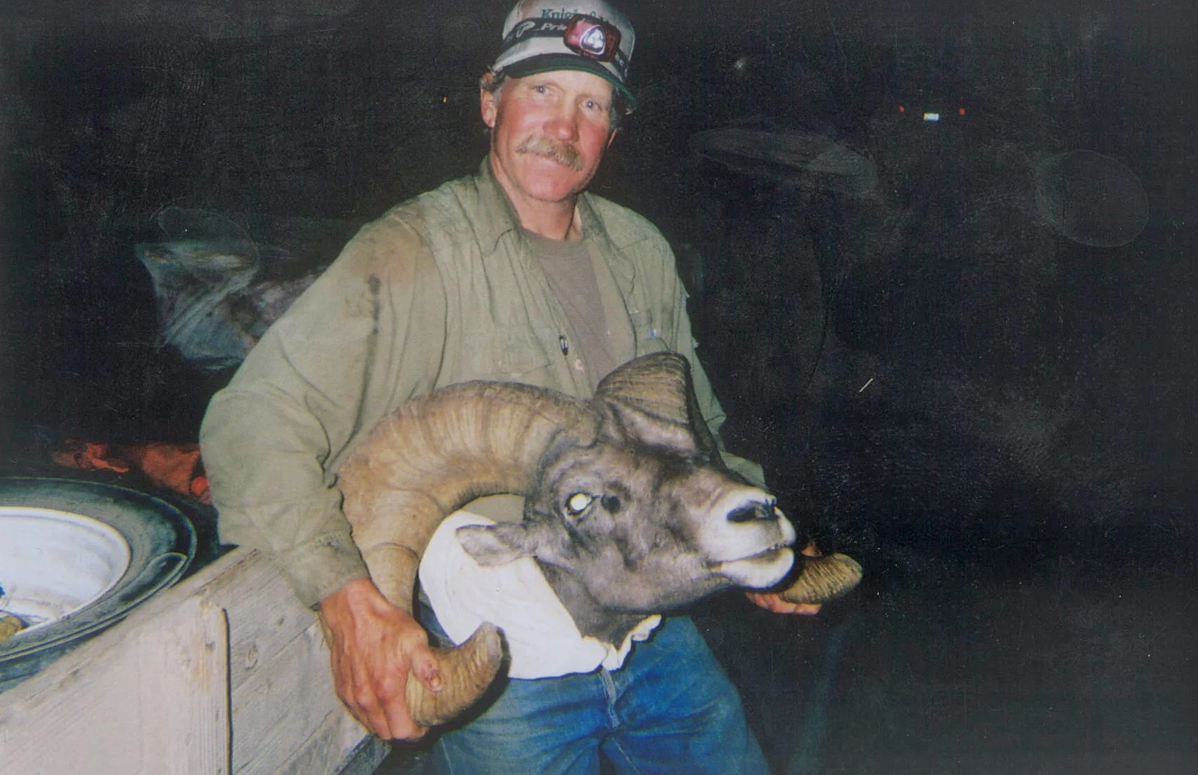 sheep5.jpg