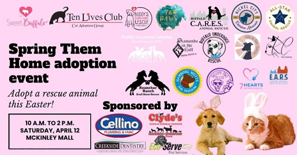 Spring Them Home Adoption Event 2025 — Ten Lives Club