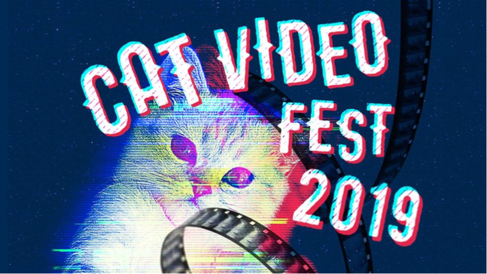 Cat Video Fest Banner Image.png