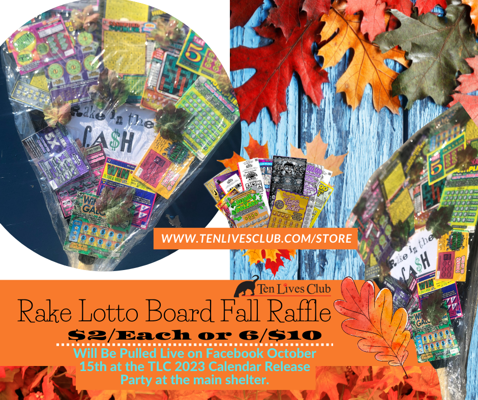 TLC Store — Ten Lives Club