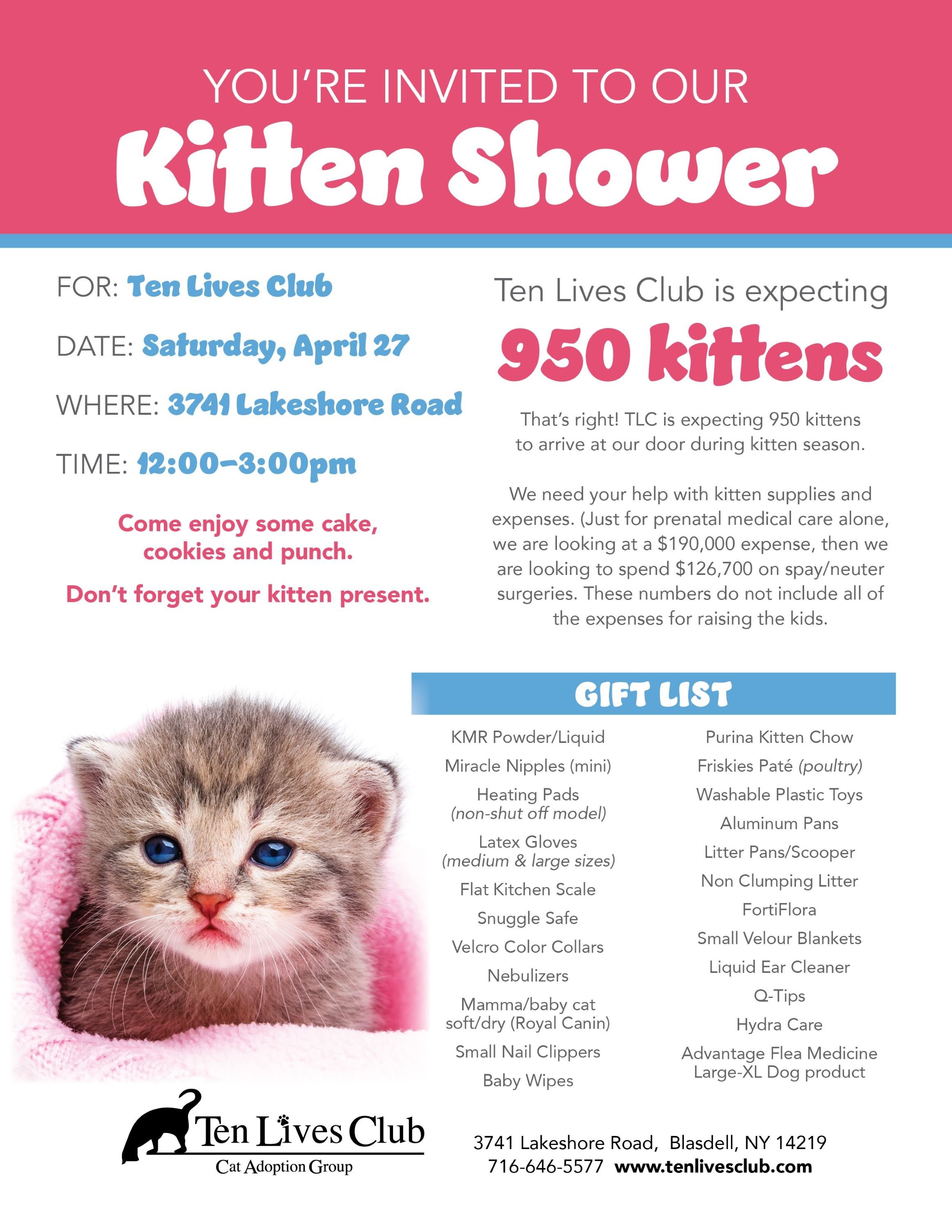 2024 Kitten Shower.jpg