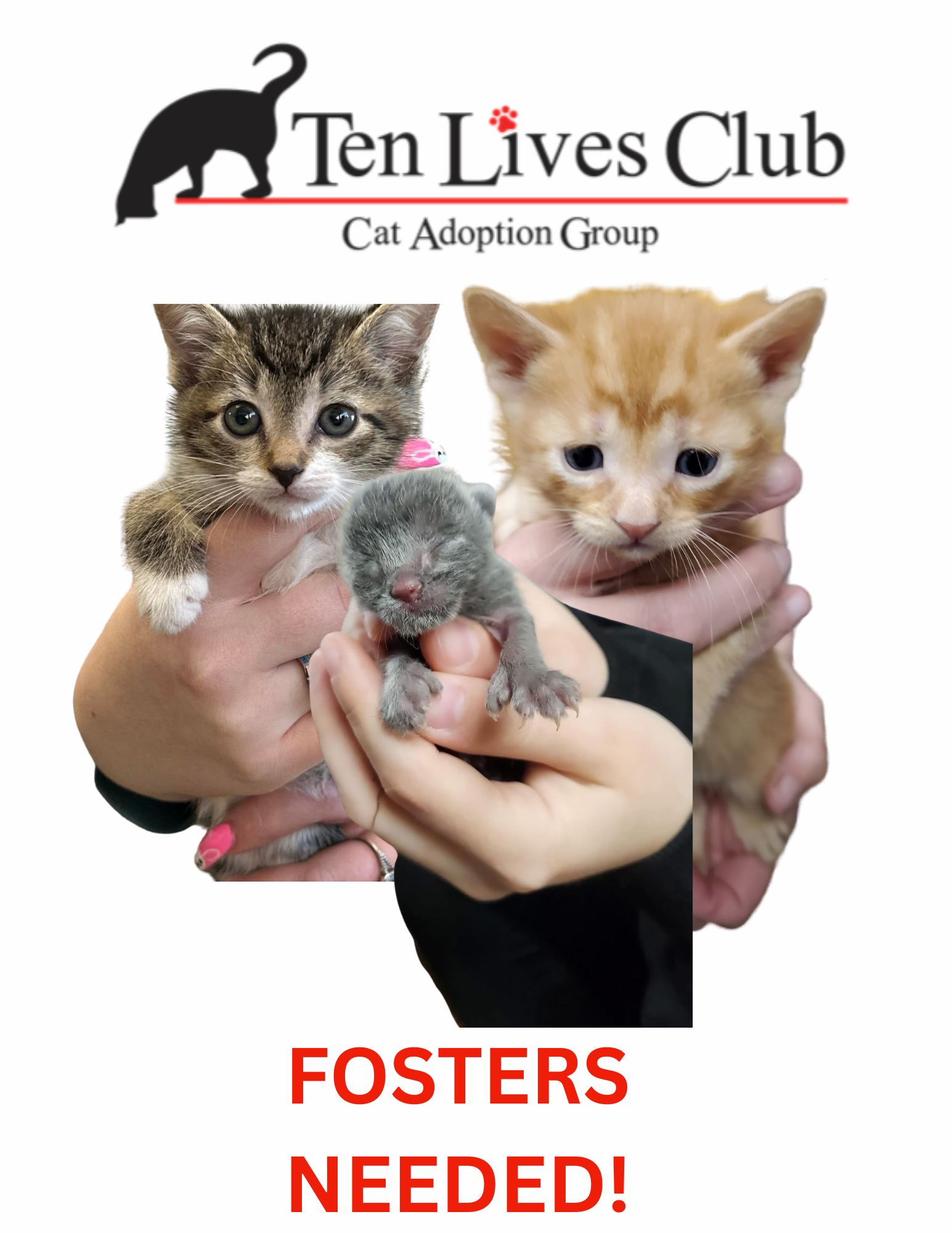 FOSTERS NEEDED! (1).png