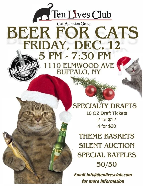 Beer For Cats