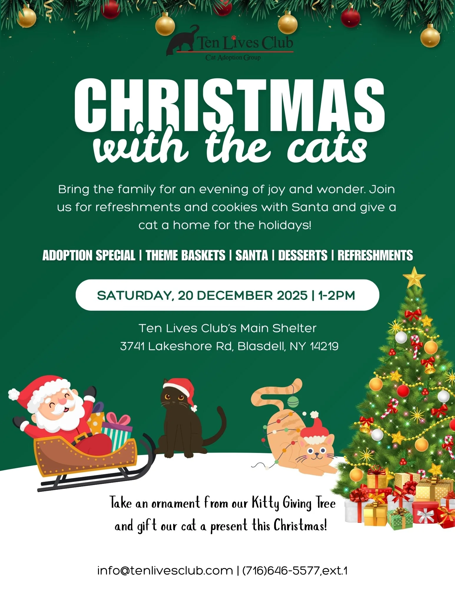 Christmas with the Cats 