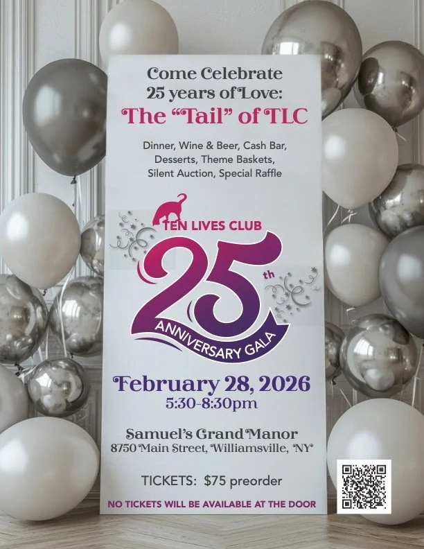 25Year_Gala_flyerNewsletter_QR_FIN.jpg