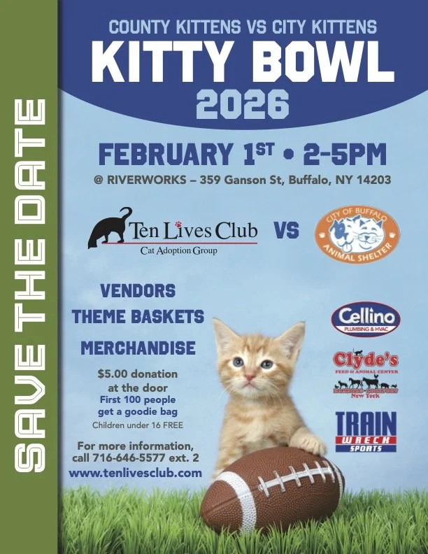 KittyBowl2026_SaveTheDate_flyer_FIN.jpg