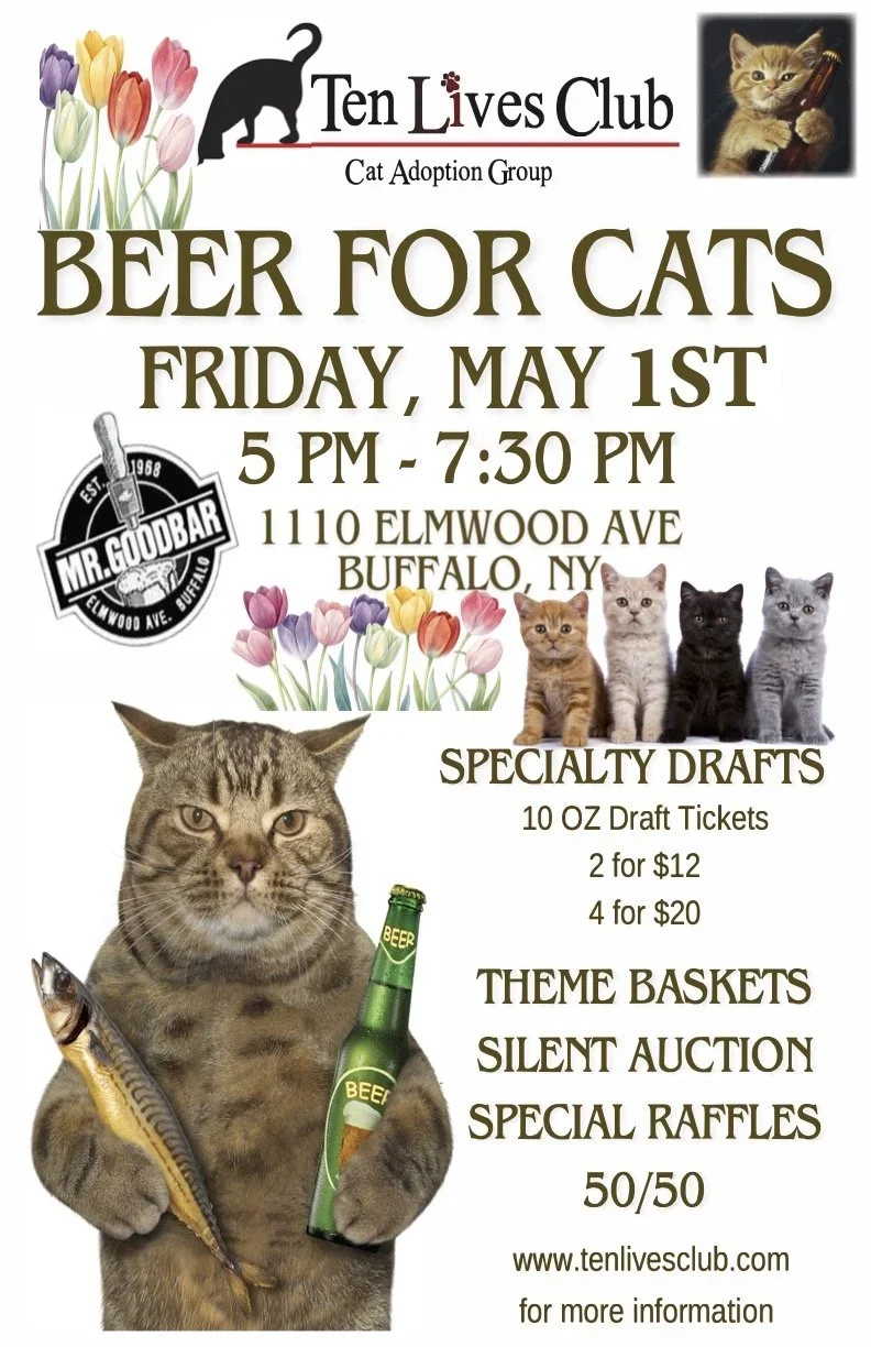 Beer+for+Cats+Flyer+Spring+2026.jpg.webp