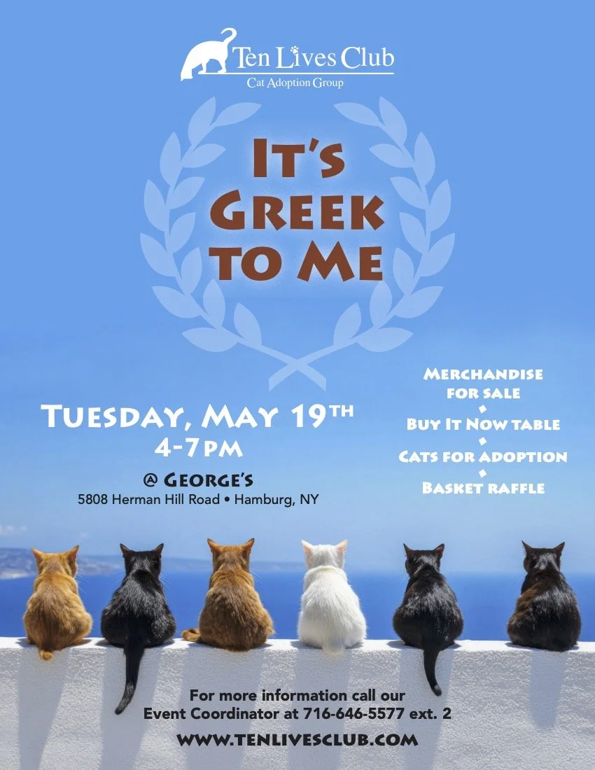 ItsGreekToMe_flyer_FIN.jpg