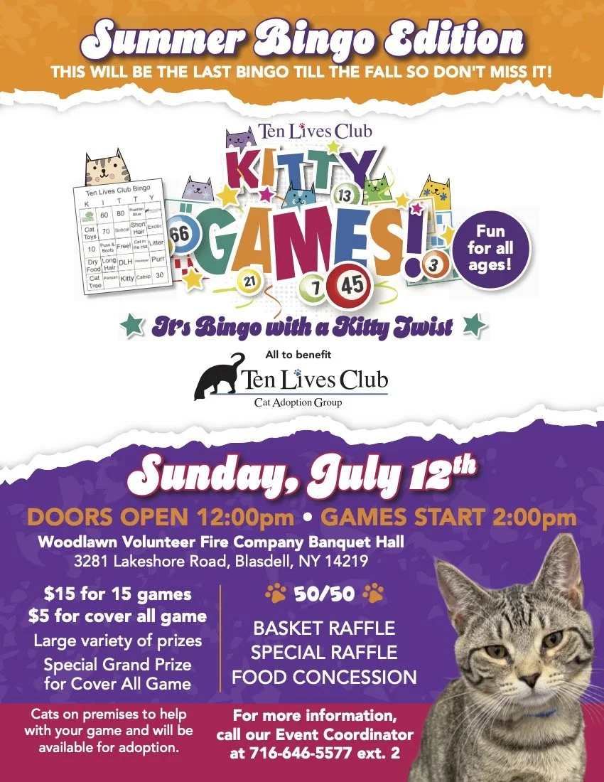KittyGames_Flyer_Summer2026_FIN.jpg