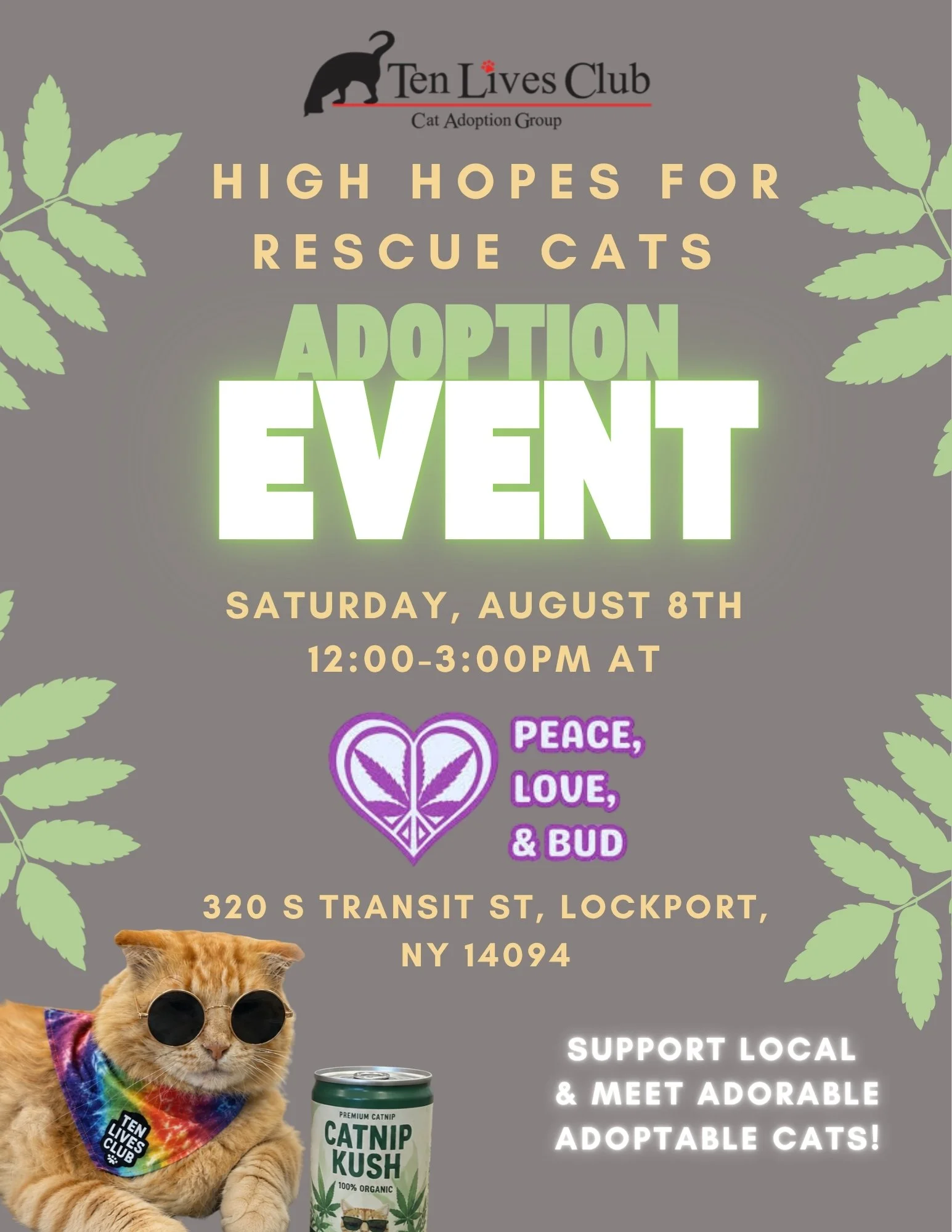 High Hopes For Rescue Cats Adoption Event.jpg