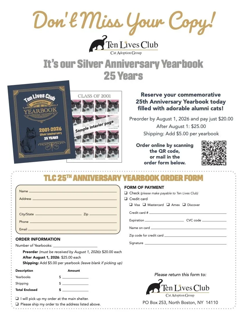 Yearbook_25th+Anniversary_Sale_FIN.jpg.webp