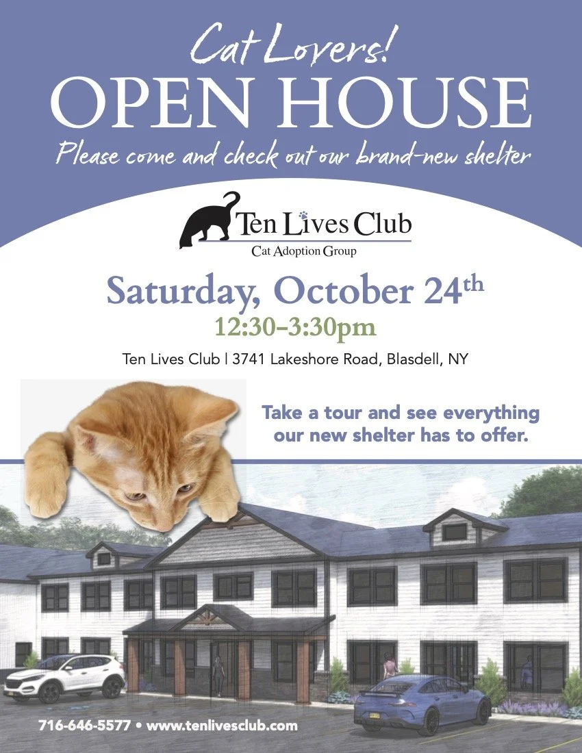 OpenHouse_General Public_flyer_v1.jpg