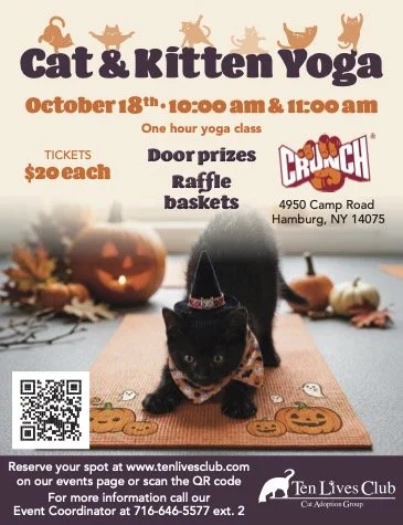 KittenYoga_Oct 18_Crunch_flyer_FIN.jpg