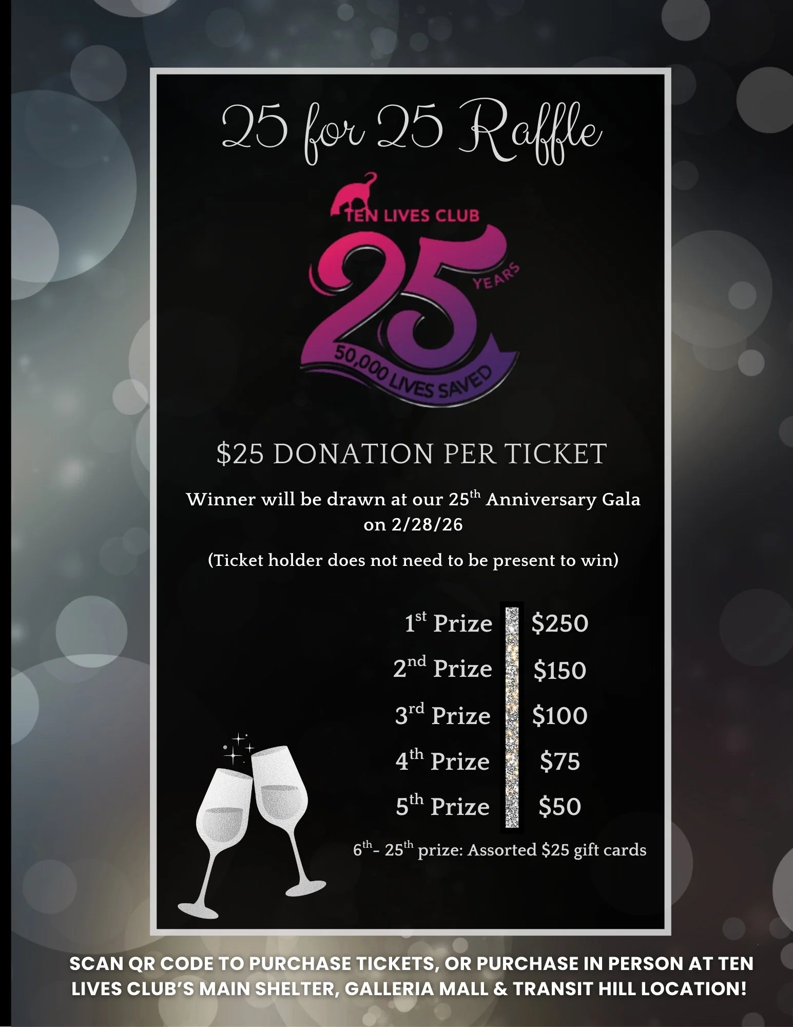 25 for 25 Raffle.jpg