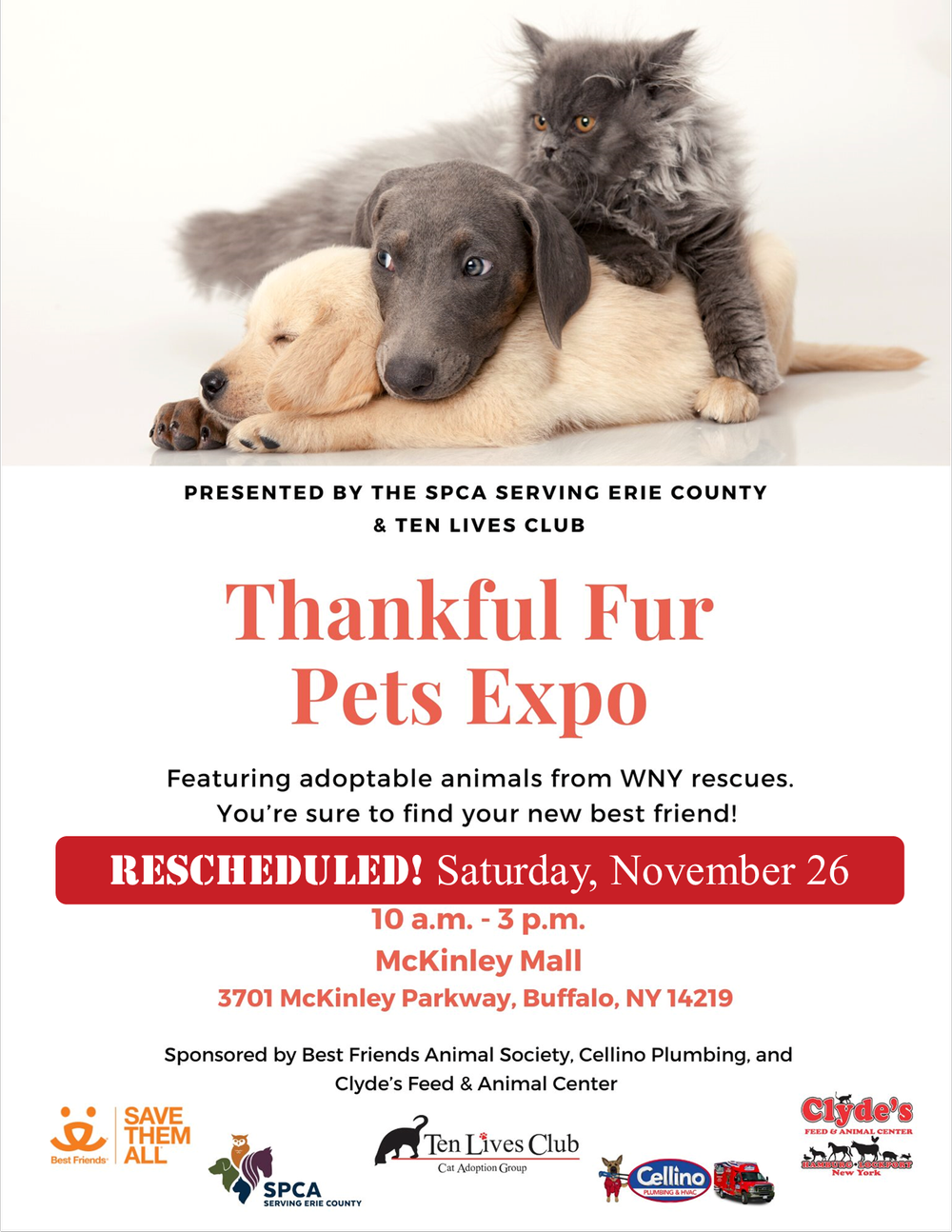 Thankful Fur Pets Expo — Ten Lives Club