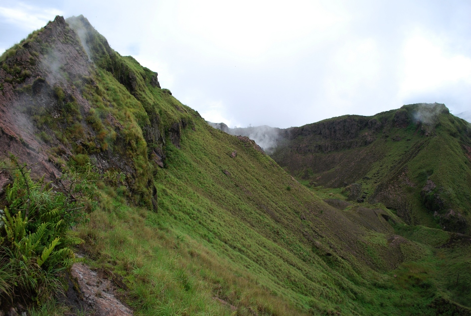 DSC_0715abc.jpg