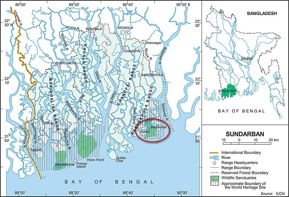 sundarban4.gif