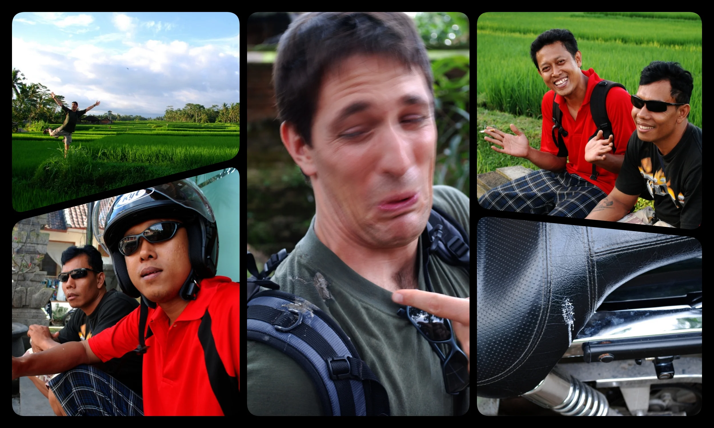 collage.jpg