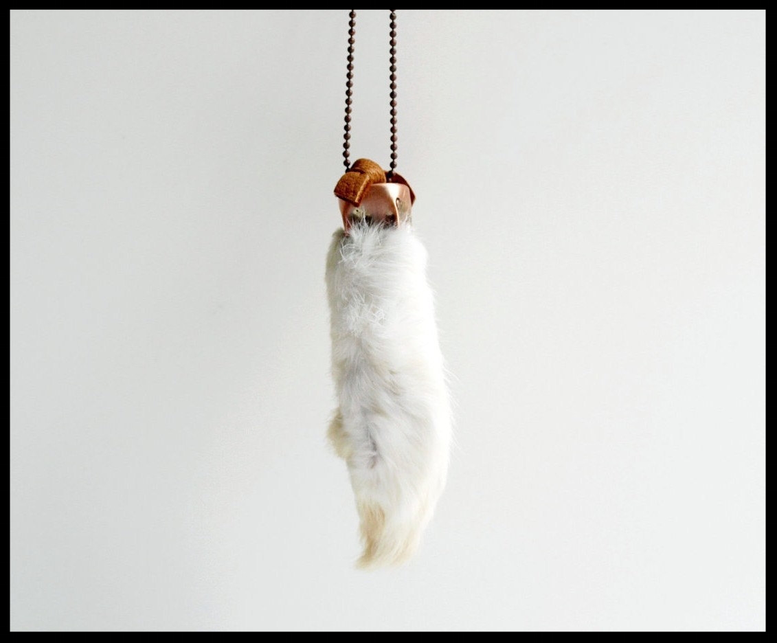 rabbit's foot.jpeg