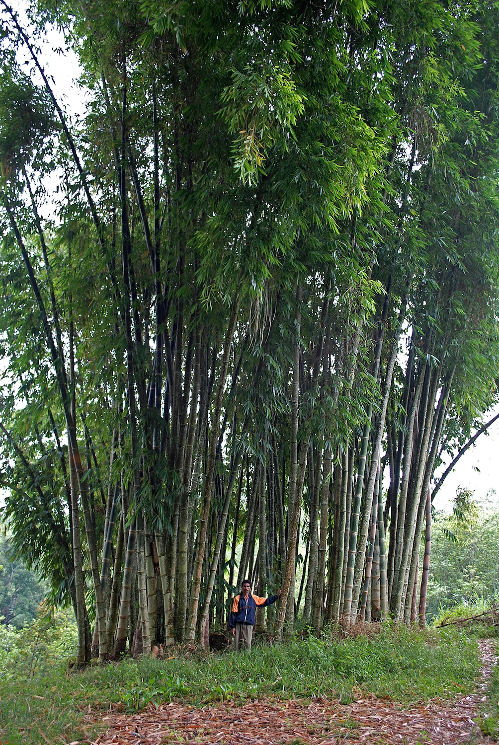 DSC_3094px copy.jpg