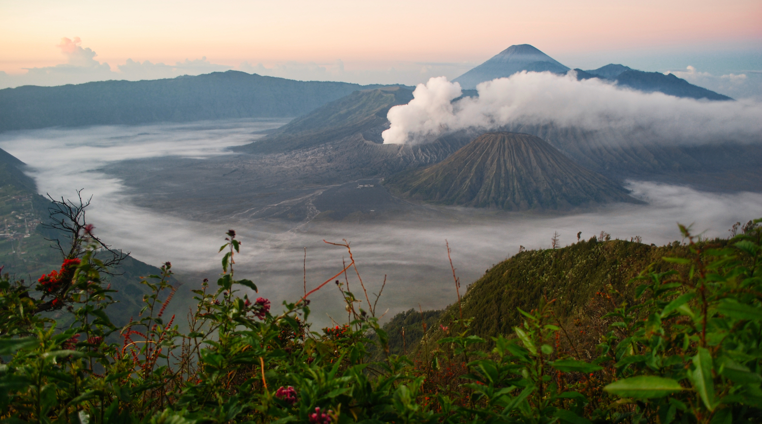 DSC_3608lum1 copyBromo.jpg