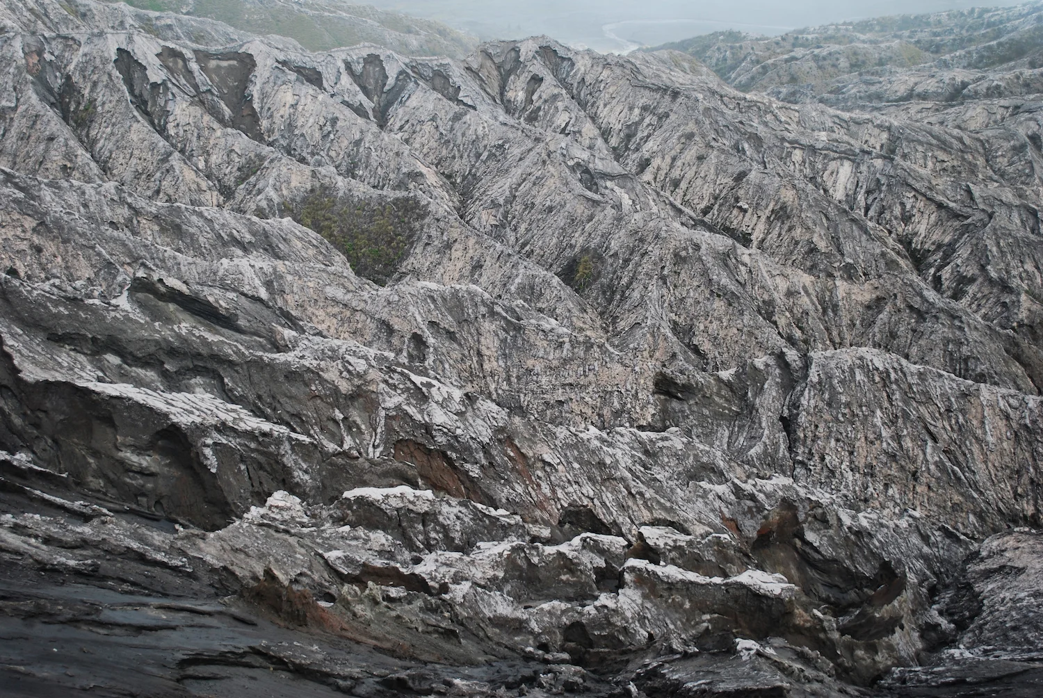 DSC_3818lum copyBromo.jpg