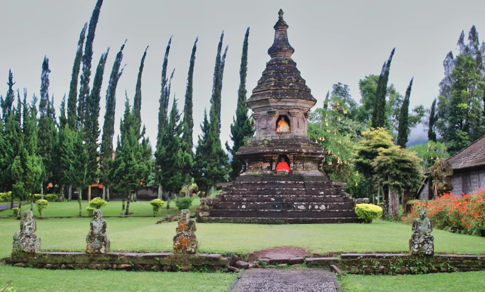 DSC_0872lum copy.jpeg