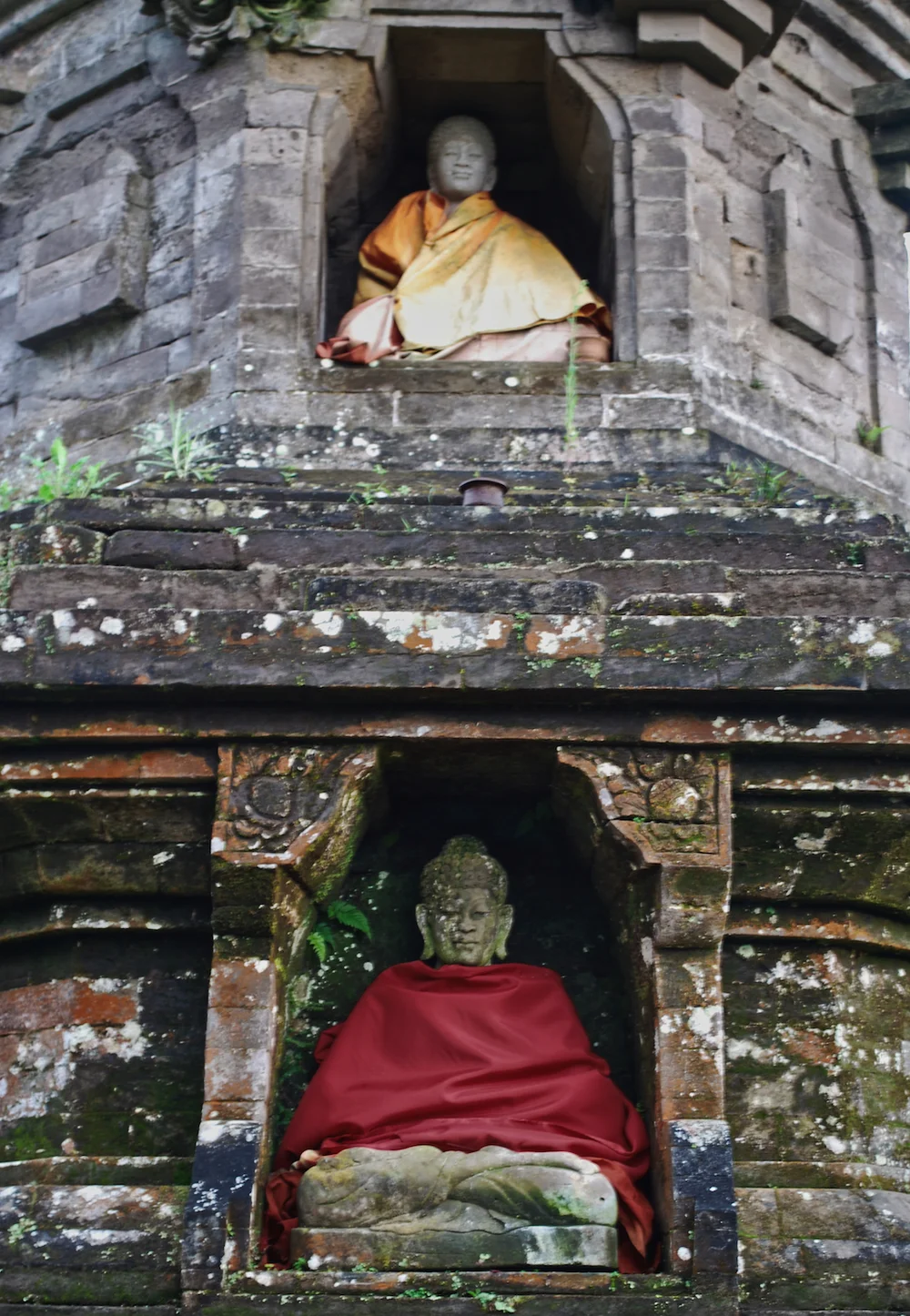 DSC_0883lum copy.jpeg