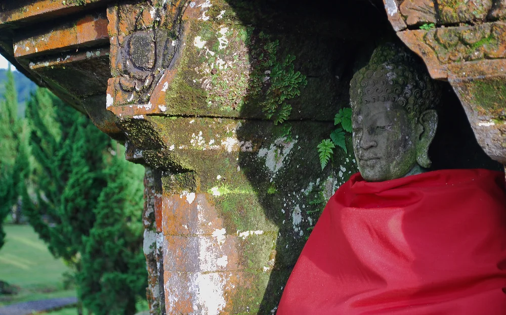 DSC_0897lum copy.jpeg