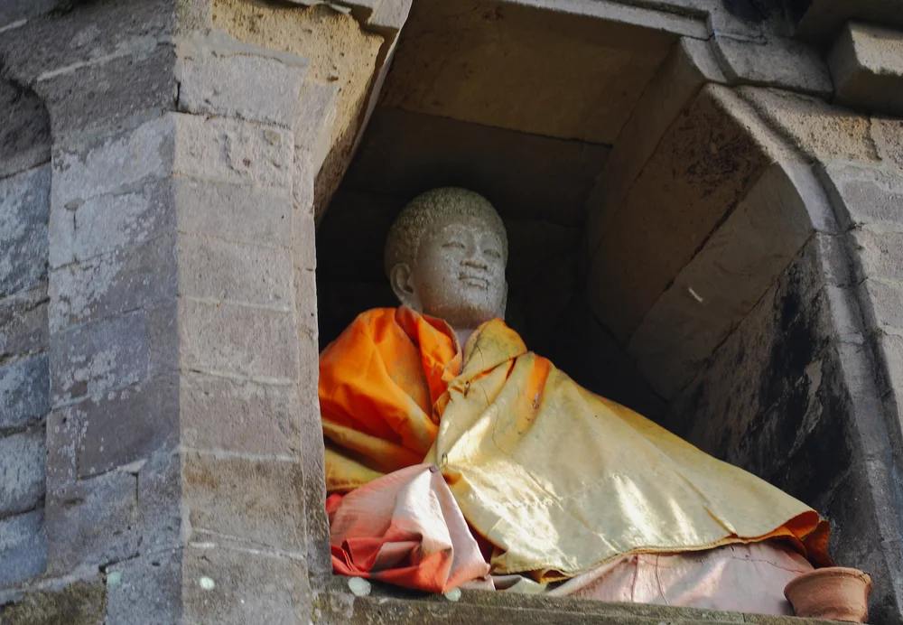 DSC_0904lum copy.jpeg