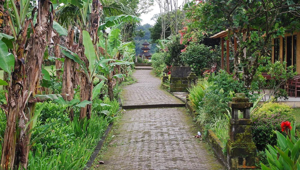 DSC_0925lum copy.jpeg