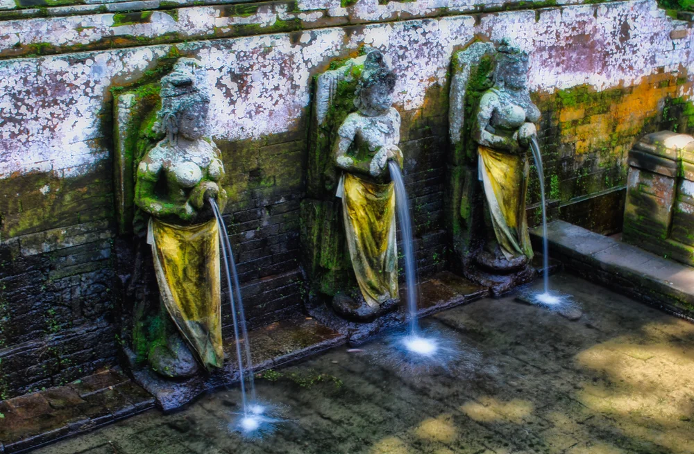 DSC_0313lum copy.jpeg